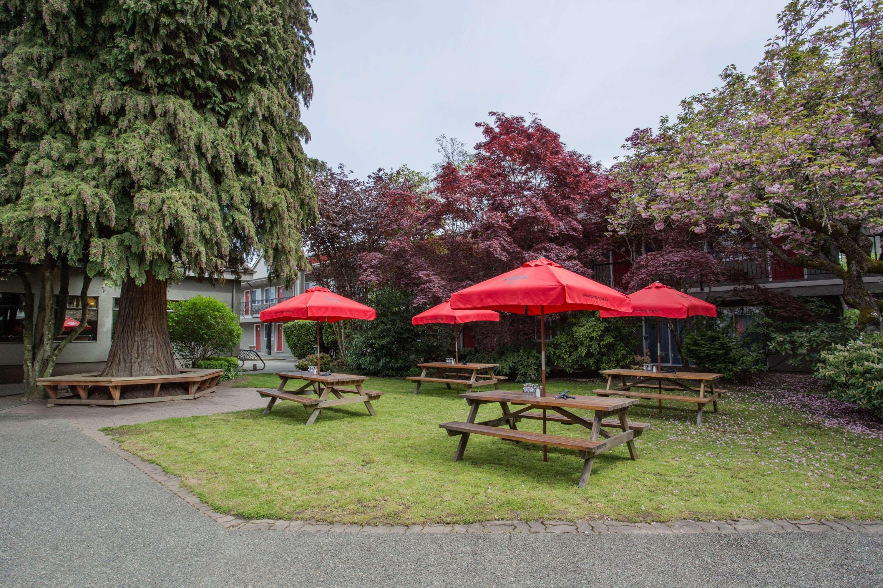 Ramada By Wyndham Duncan Cowichan Valley Motel Exterior photo